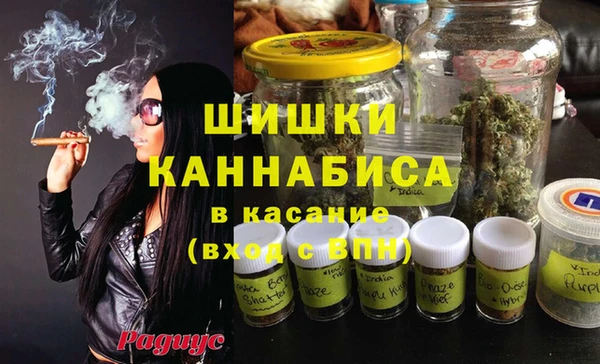 ECSTASY Бородино