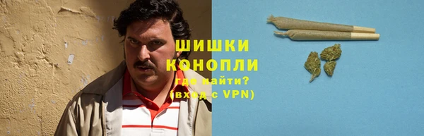 сатива Бронницы