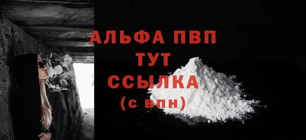 ECSTASY Бородино