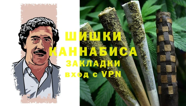 сатива Бронницы