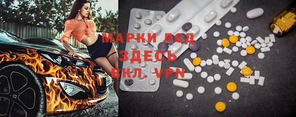 сатива Бронницы