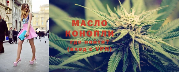ECSTASY Бородино
