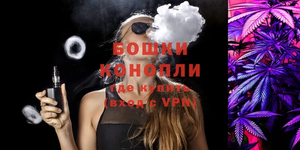 ECSTASY Бородино