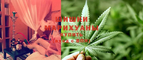 сатива Бронницы