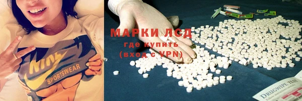 ECSTASY Бородино