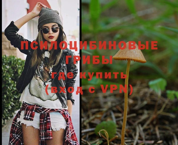 сатива Бронницы